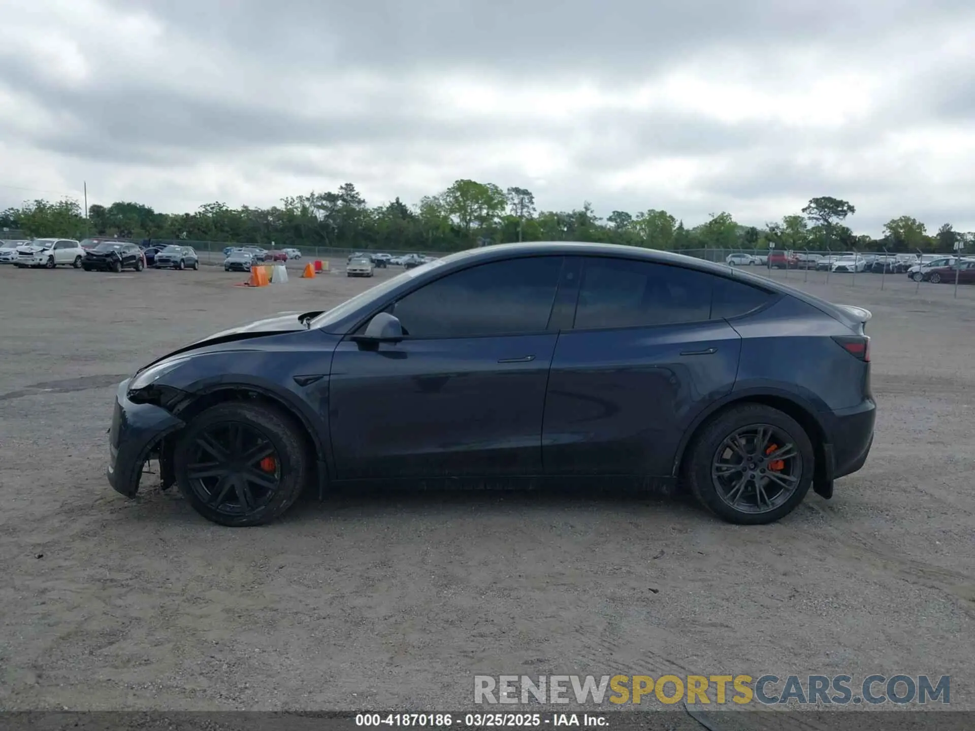 15 fotografías del automóvil dañado 7SAYGDED7RF095210 TESLA MODEL Y 2024