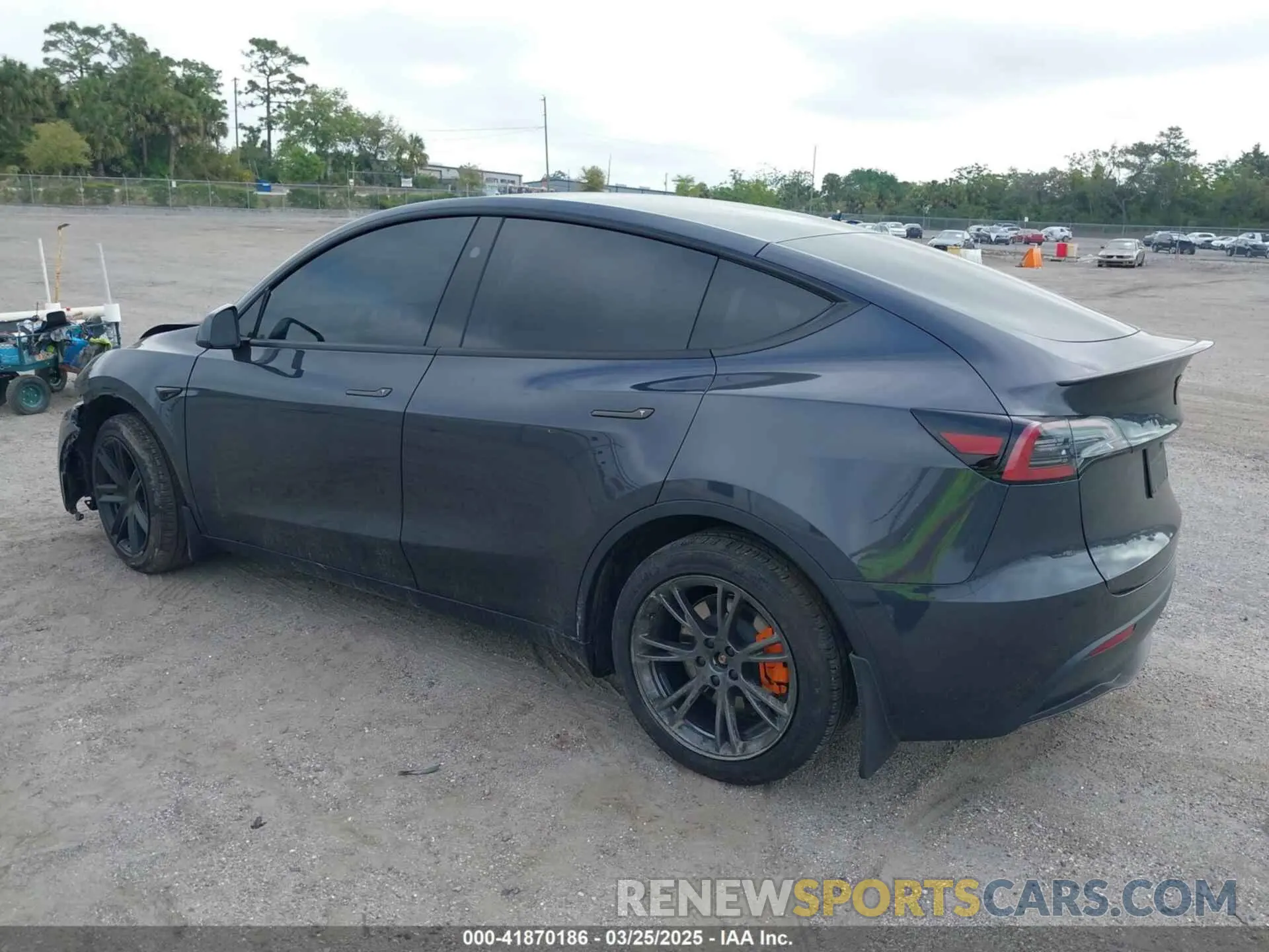3 fotografías del automóvil dañado 7SAYGDED7RF095210 TESLA MODEL Y 2024