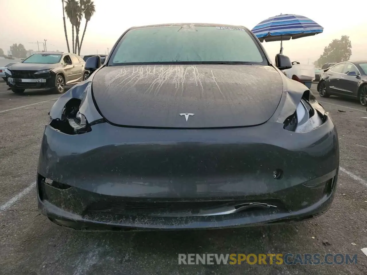 5 fotografías del automóvil dañado 7SAYGDED7RF103600 TESLA MODEL Y 2024