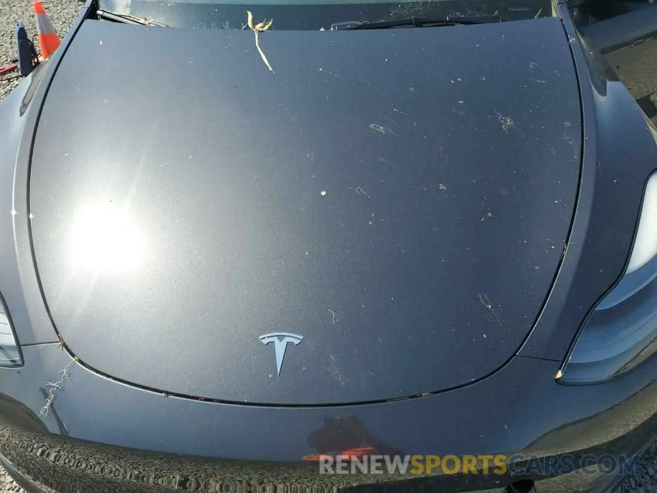 11 fotografías del automóvil dañado 7SAYGDED8RF091697 TESLA MODEL Y 2024
