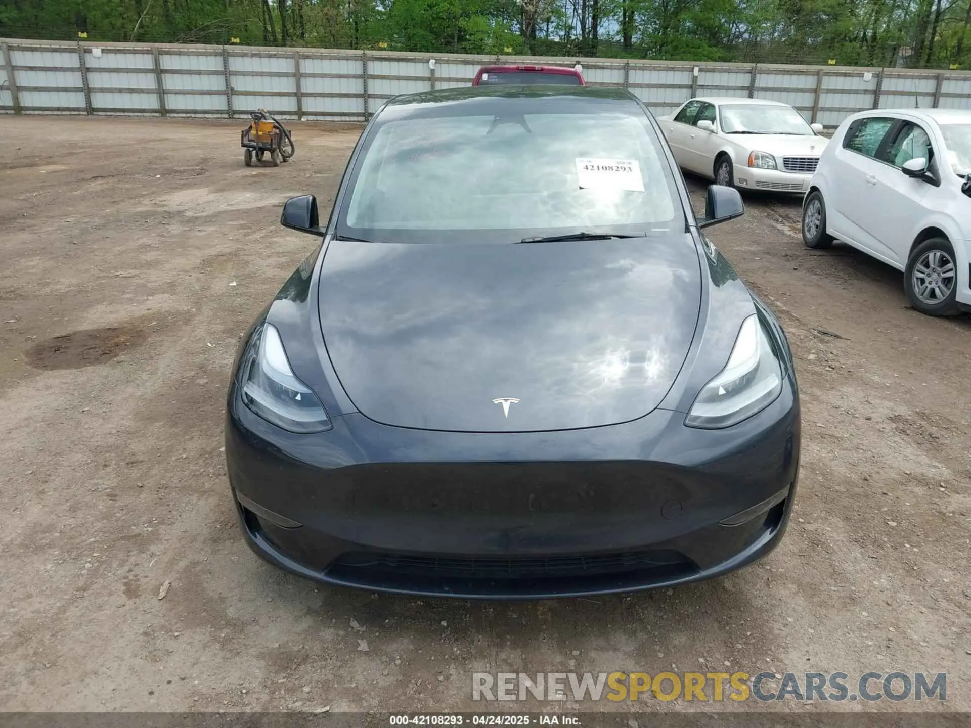 12 fotografías del automóvil dañado 7SAYGDED9RA323124 TESLA MODEL Y 2024