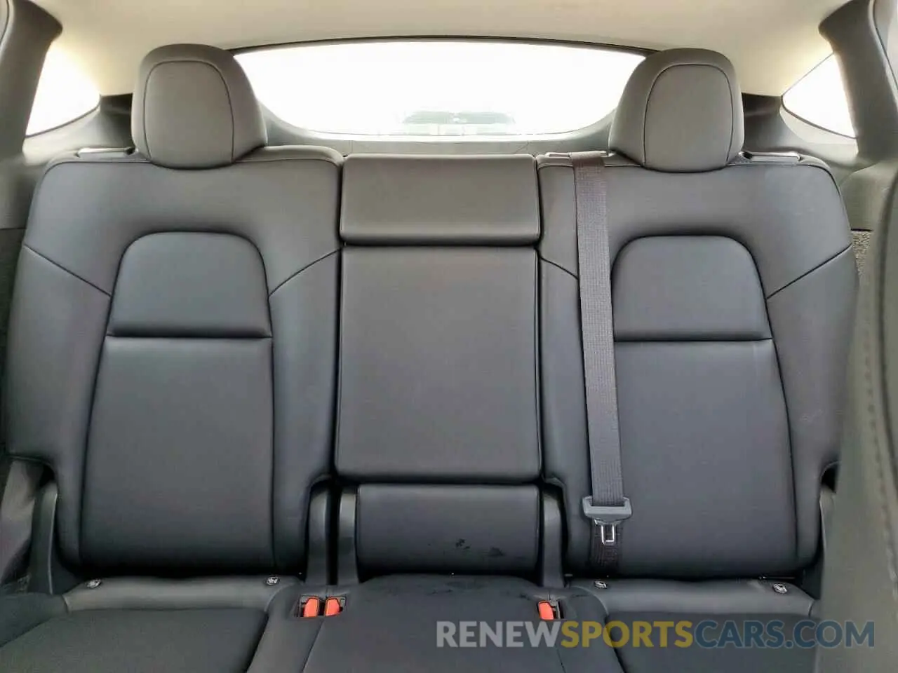 10 fotografías del automóvil dañado 7SAYGDED9RF044629 TESLA MODEL Y 2024