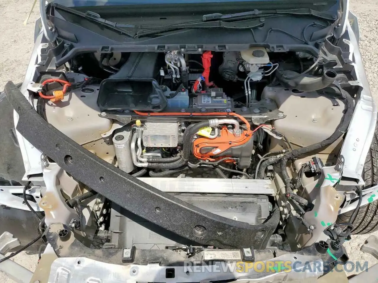 12 fotografías del automóvil dañado 7SAYGDED9RF044629 TESLA MODEL Y 2024