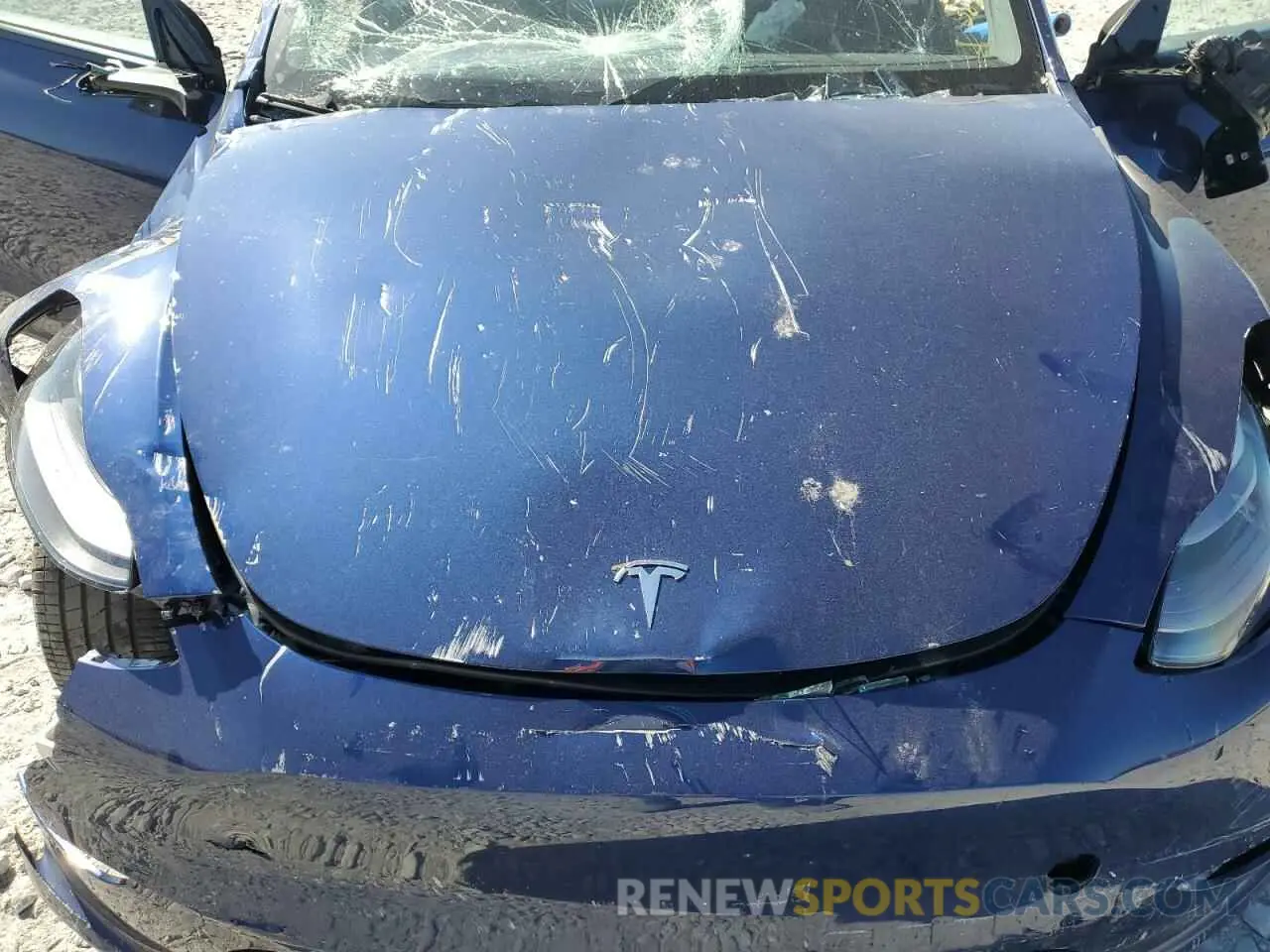 13 fotografías del automóvil dañado 7SAYGDED9RF046879 TESLA MODEL Y 2024