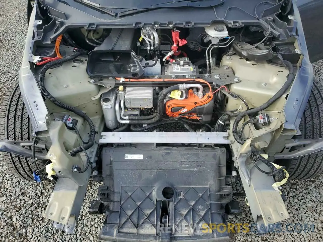 11 fotografías del automóvil dañado 7SAYGDED9RF092955 TESLA MODEL Y 2024
