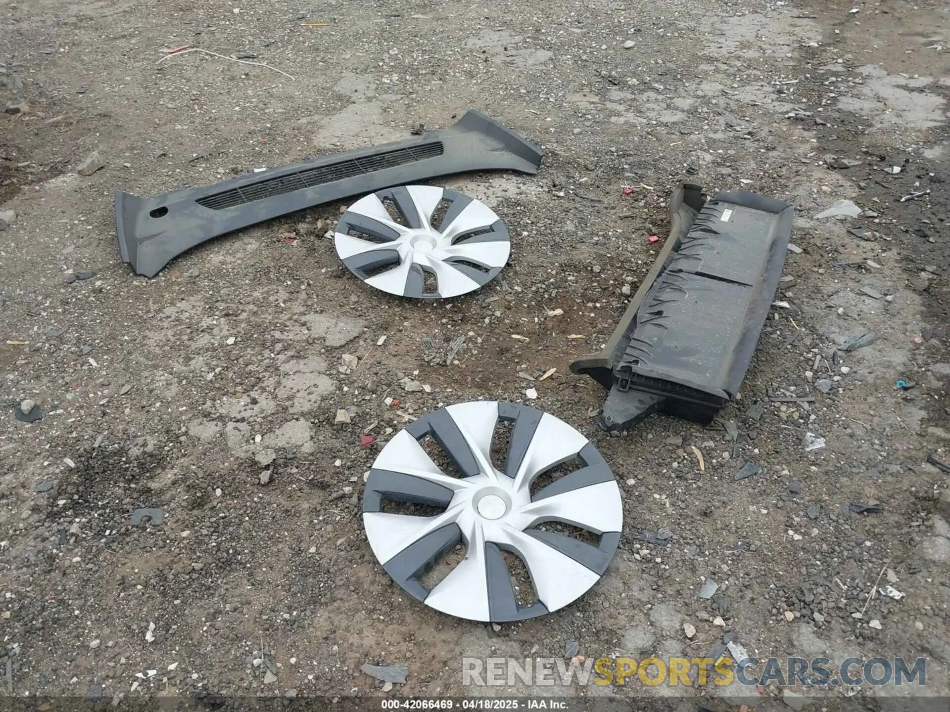 12 fotografías del automóvil dañado 7SAYGDEDXRF035969 TESLA MODEL Y 2024