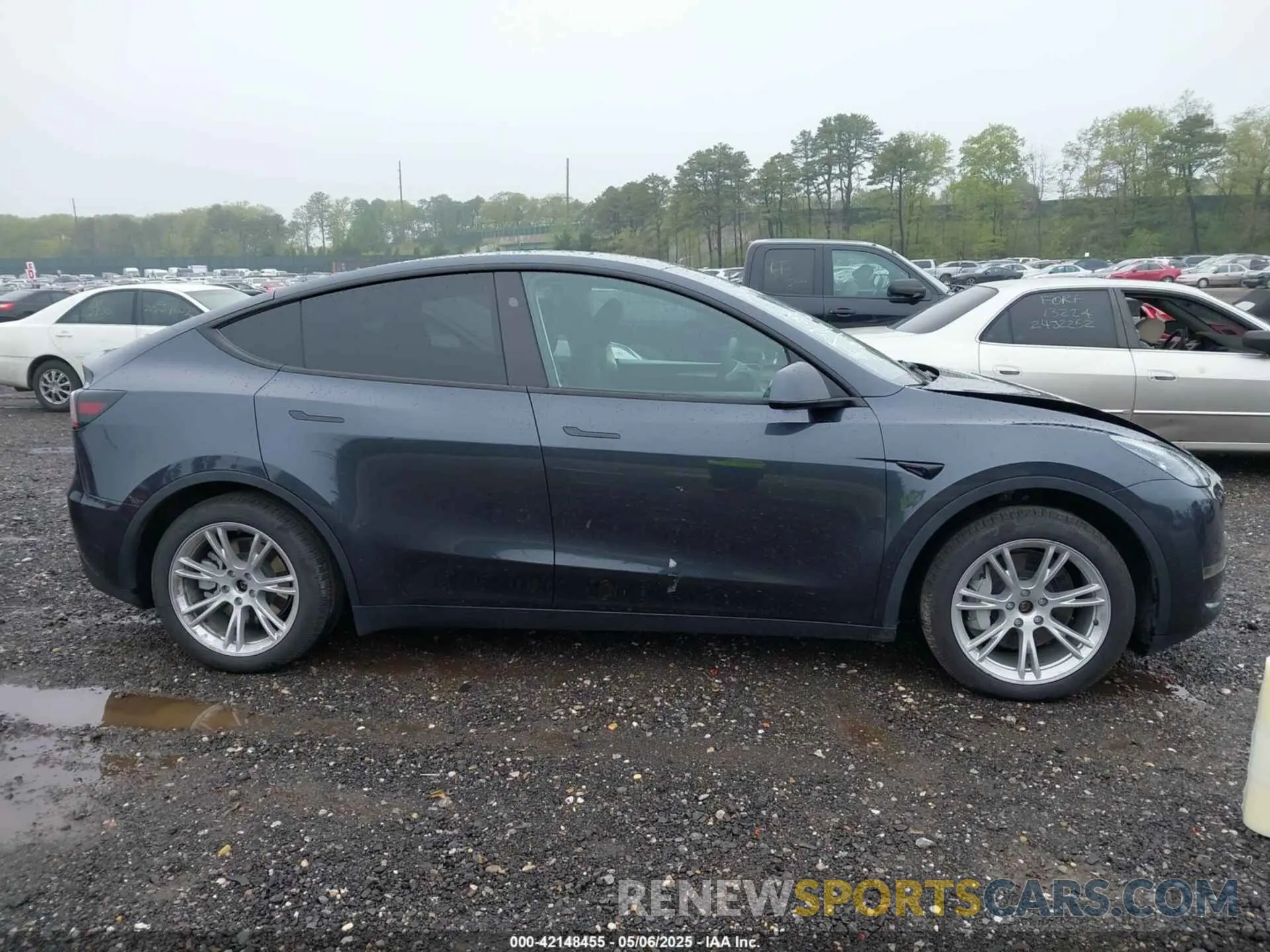 13 fotografías del automóvil dañado 7SAYGDEE0RA229691 TESLA MODEL Y 2024