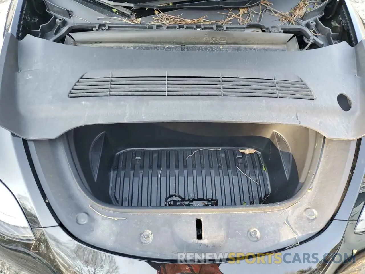 13 fotografías del automóvil dañado 7SAYGDEE0RA246829 TESLA MODEL Y 2024