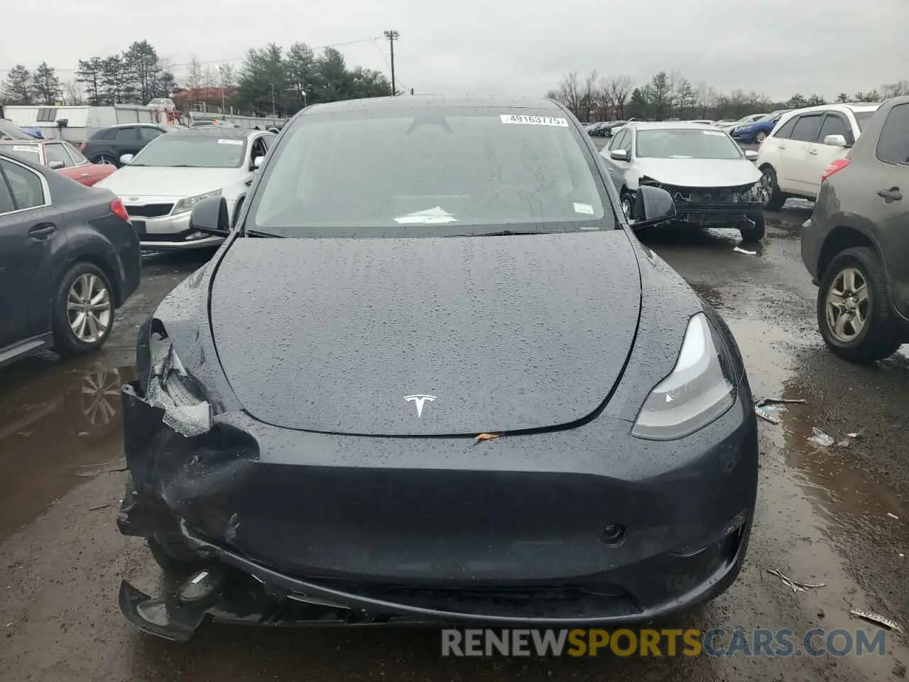 5 fotografías del automóvil dañado 7SAYGDEE0RA250394 TESLA MODEL Y 2024