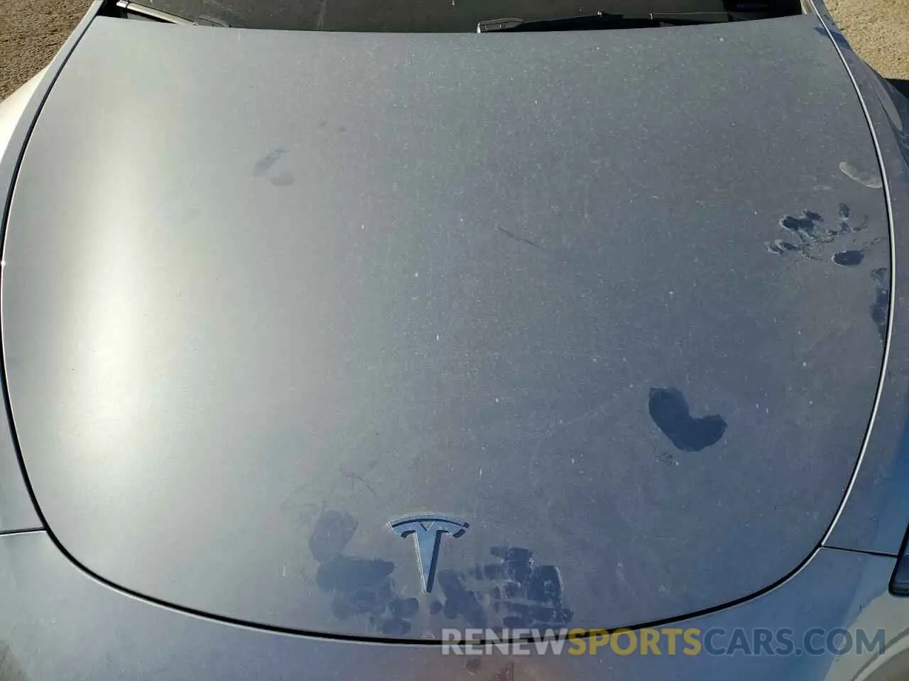 11 fotografías del automóvil dañado 7SAYGDEE0RA299398 TESLA MODEL Y 2024