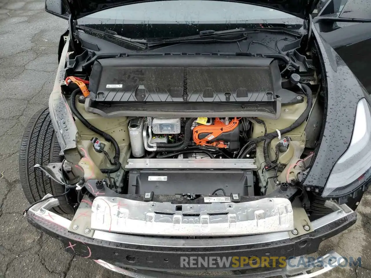 11 fotografías del automóvil dañado 7SAYGDEE0RF069797 TESLA MODEL Y 2024