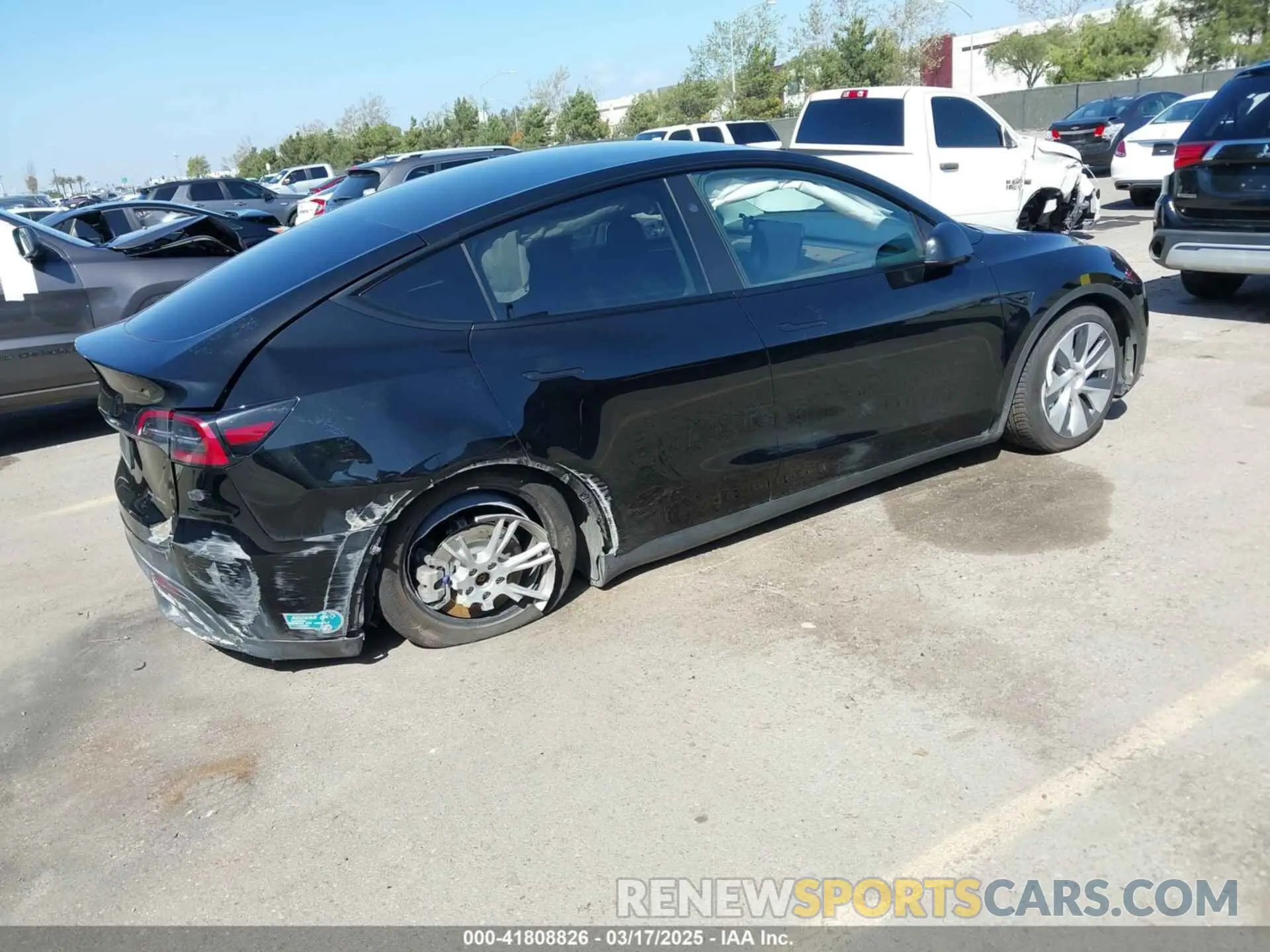 4 fotografías del automóvil dañado 7SAYGDEE0RF078242 TESLA MODEL Y 2024