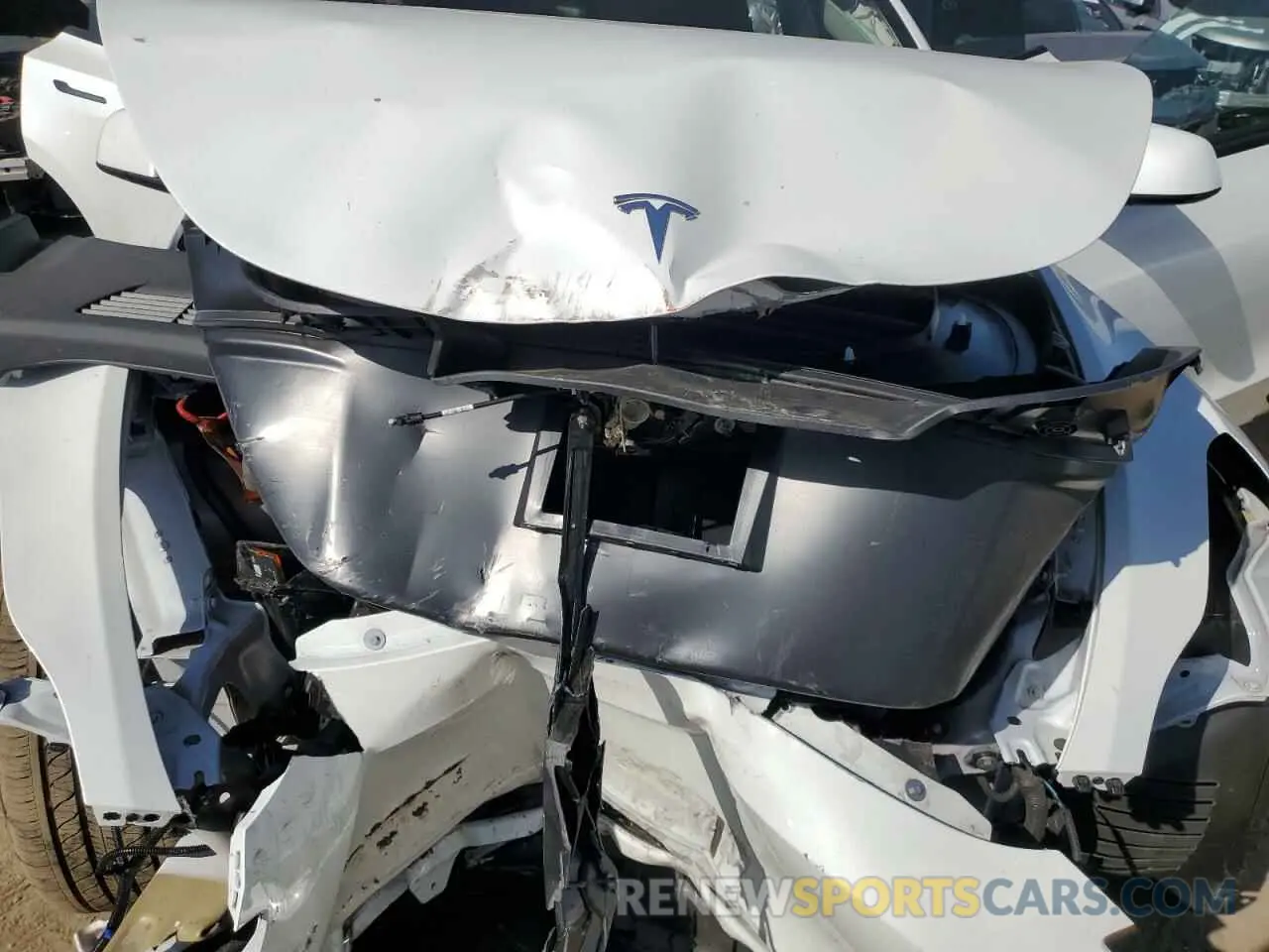 11 fotografías del automóvil dañado 7SAYGDEE0RF081948 TESLA MODEL Y 2024