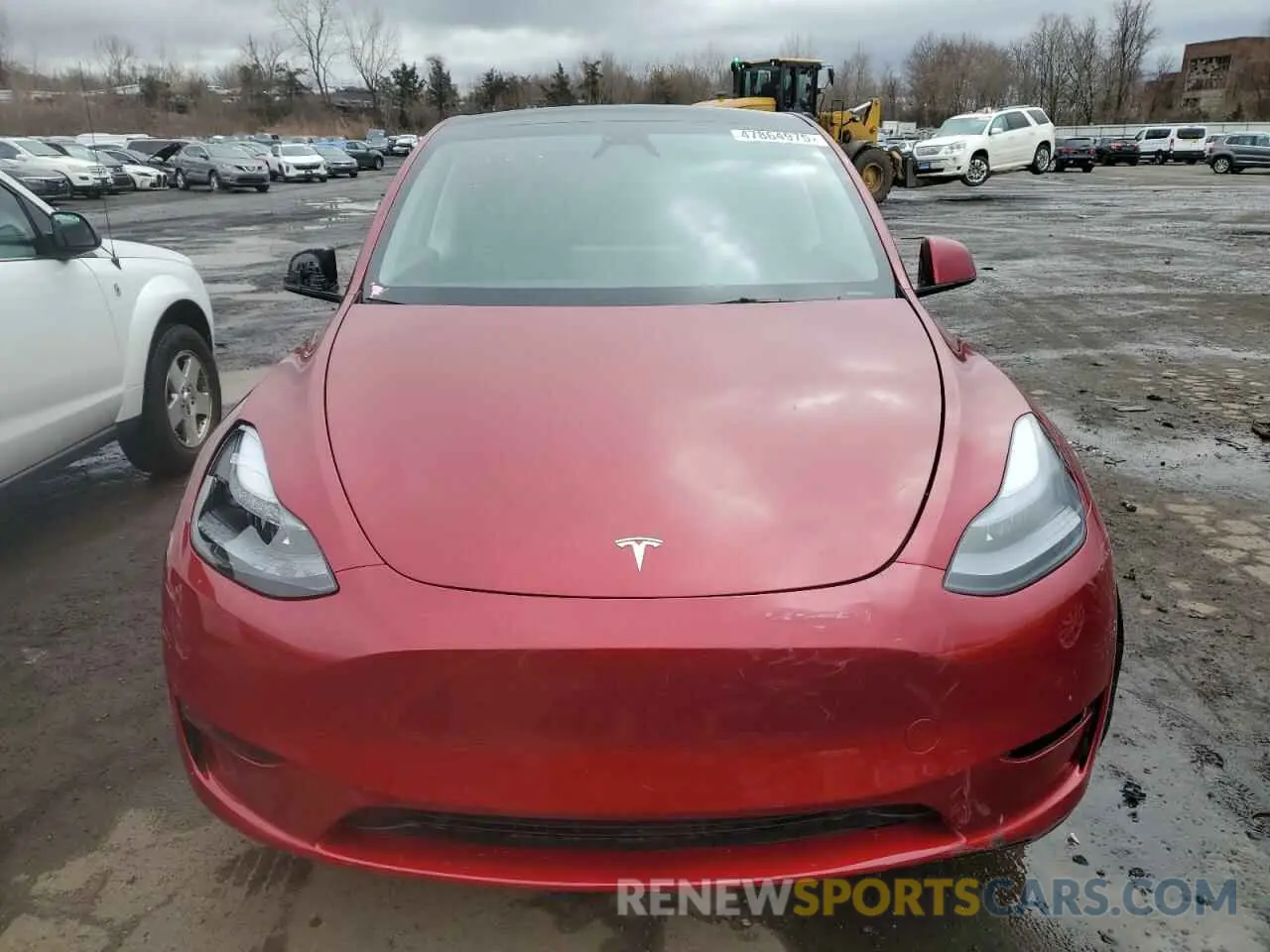 5 fotografías del automóvil dañado 7SAYGDEE0RF159774 TESLA MODEL Y 2024