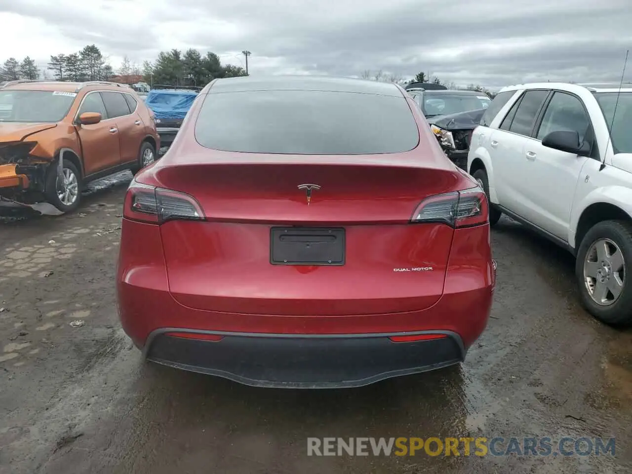 6 fotografías del automóvil dañado 7SAYGDEE0RF159774 TESLA MODEL Y 2024