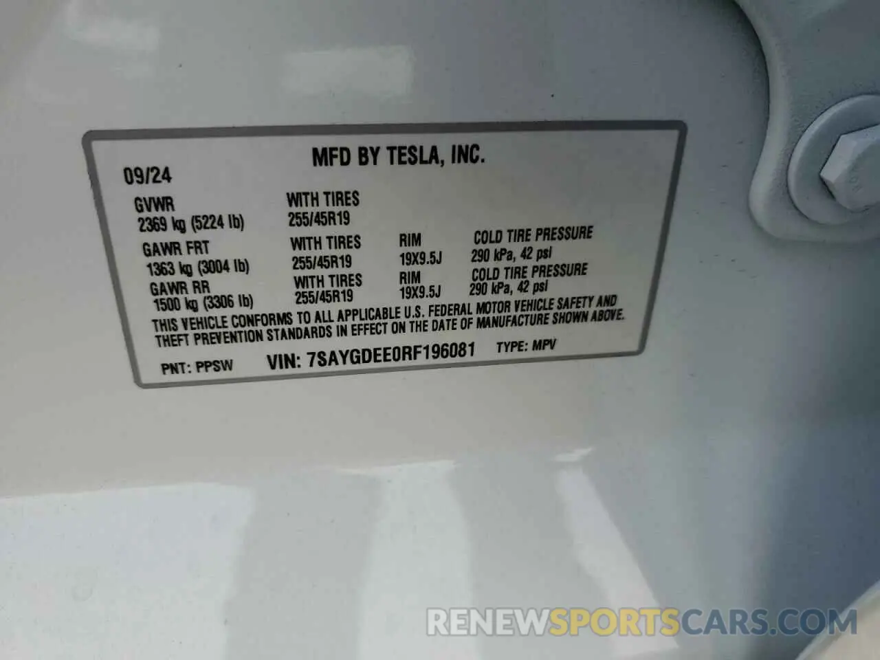 13 fotografías del automóvil dañado 7SAYGDEE0RF196081 TESLA MODEL Y 2024