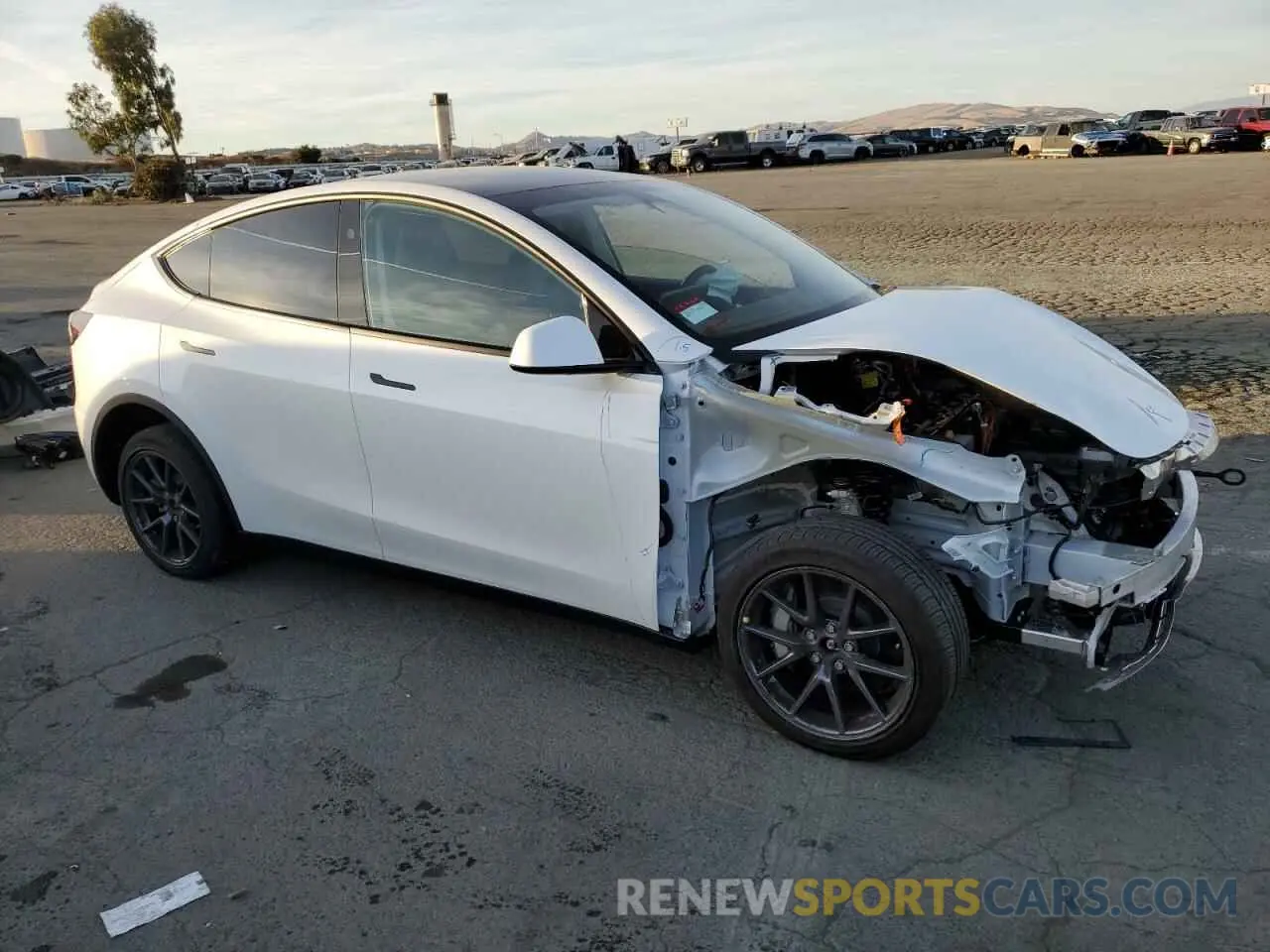 4 fotografías del automóvil dañado 7SAYGDEE0RF196081 TESLA MODEL Y 2024
