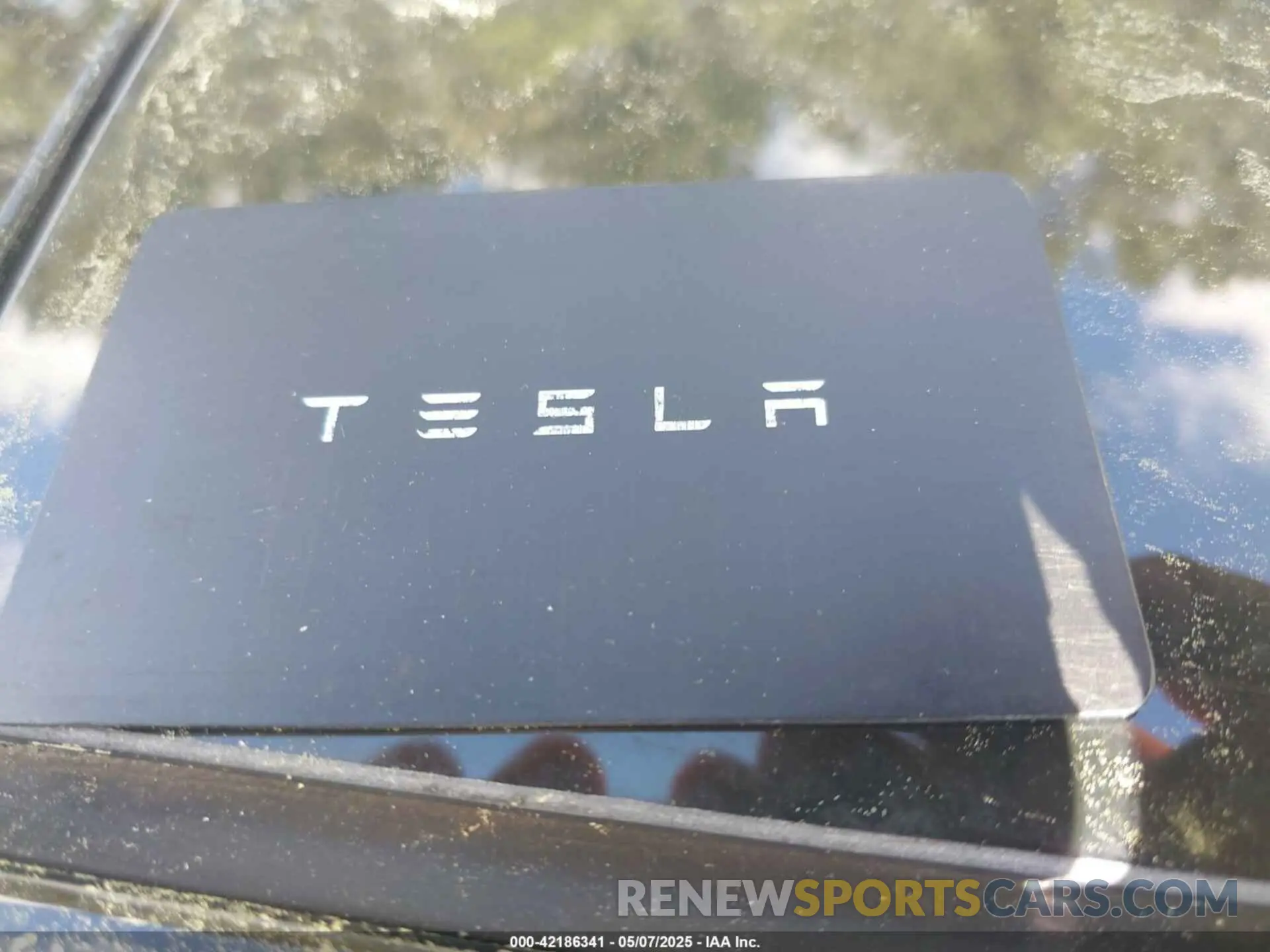 11 fotografías del automóvil dañado 7SAYGDEE0RF200291 TESLA MODEL Y 2024