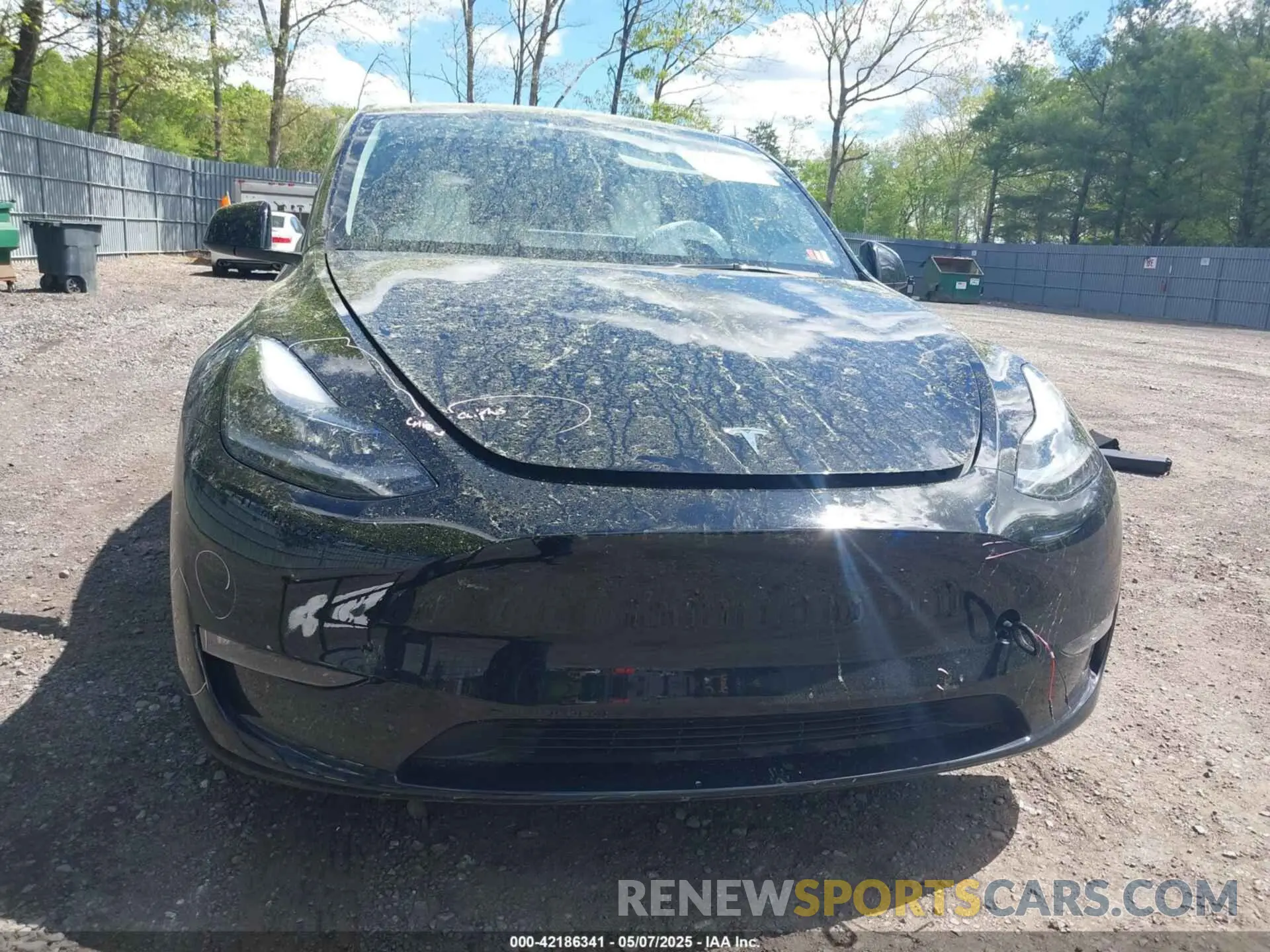 12 fotografías del automóvil dañado 7SAYGDEE0RF200291 TESLA MODEL Y 2024