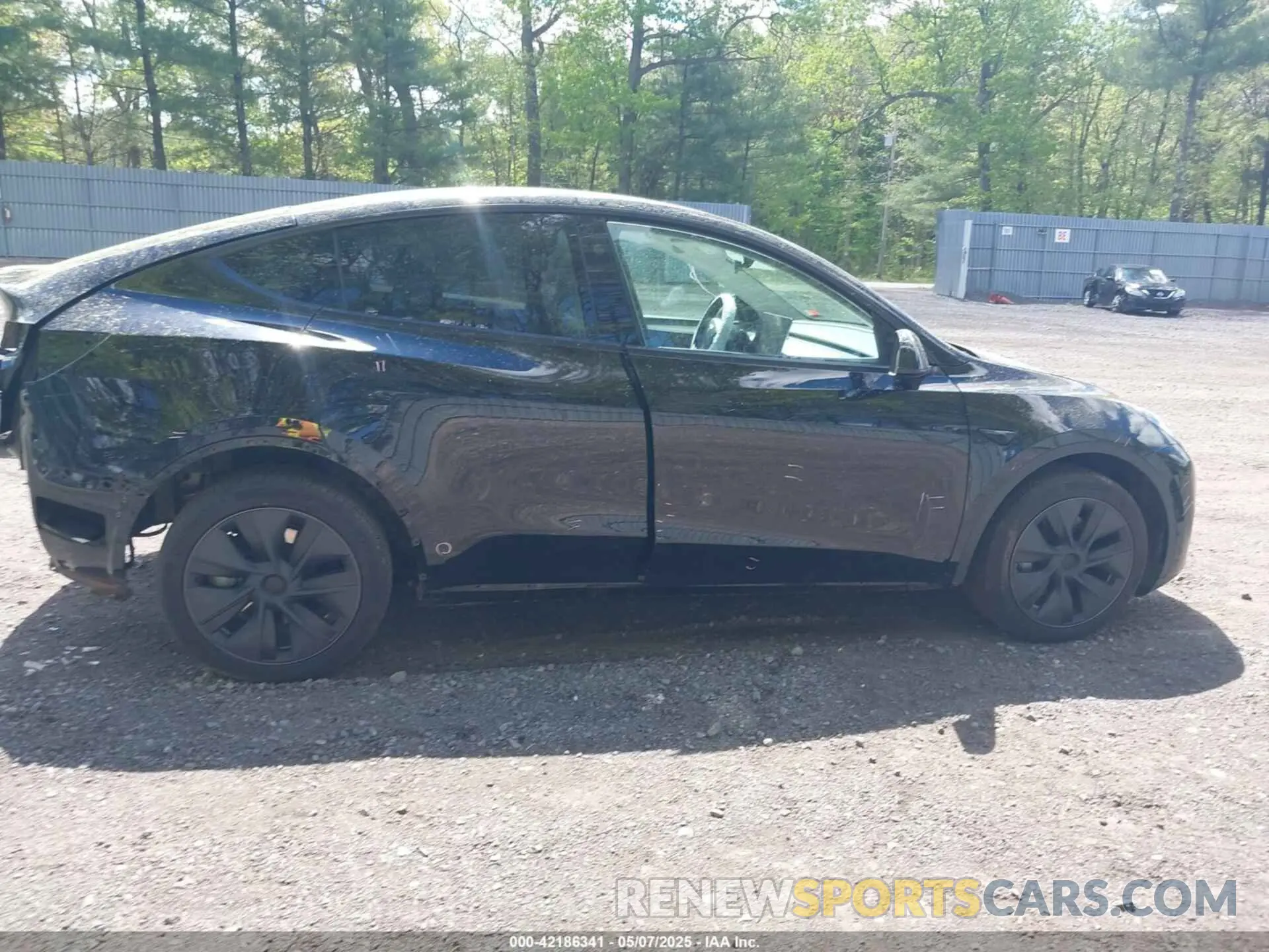 13 fotografías del automóvil dañado 7SAYGDEE0RF200291 TESLA MODEL Y 2024