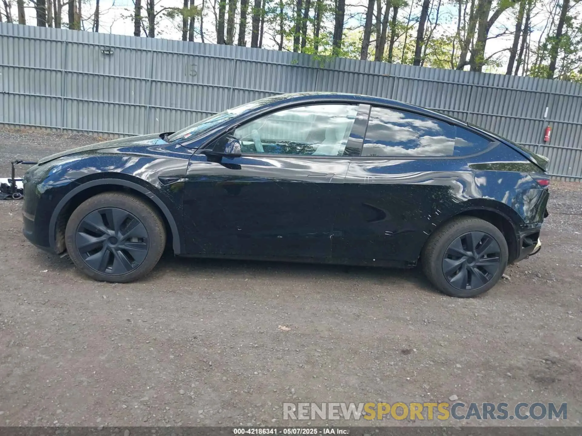 14 fotografías del automóvil dañado 7SAYGDEE0RF200291 TESLA MODEL Y 2024