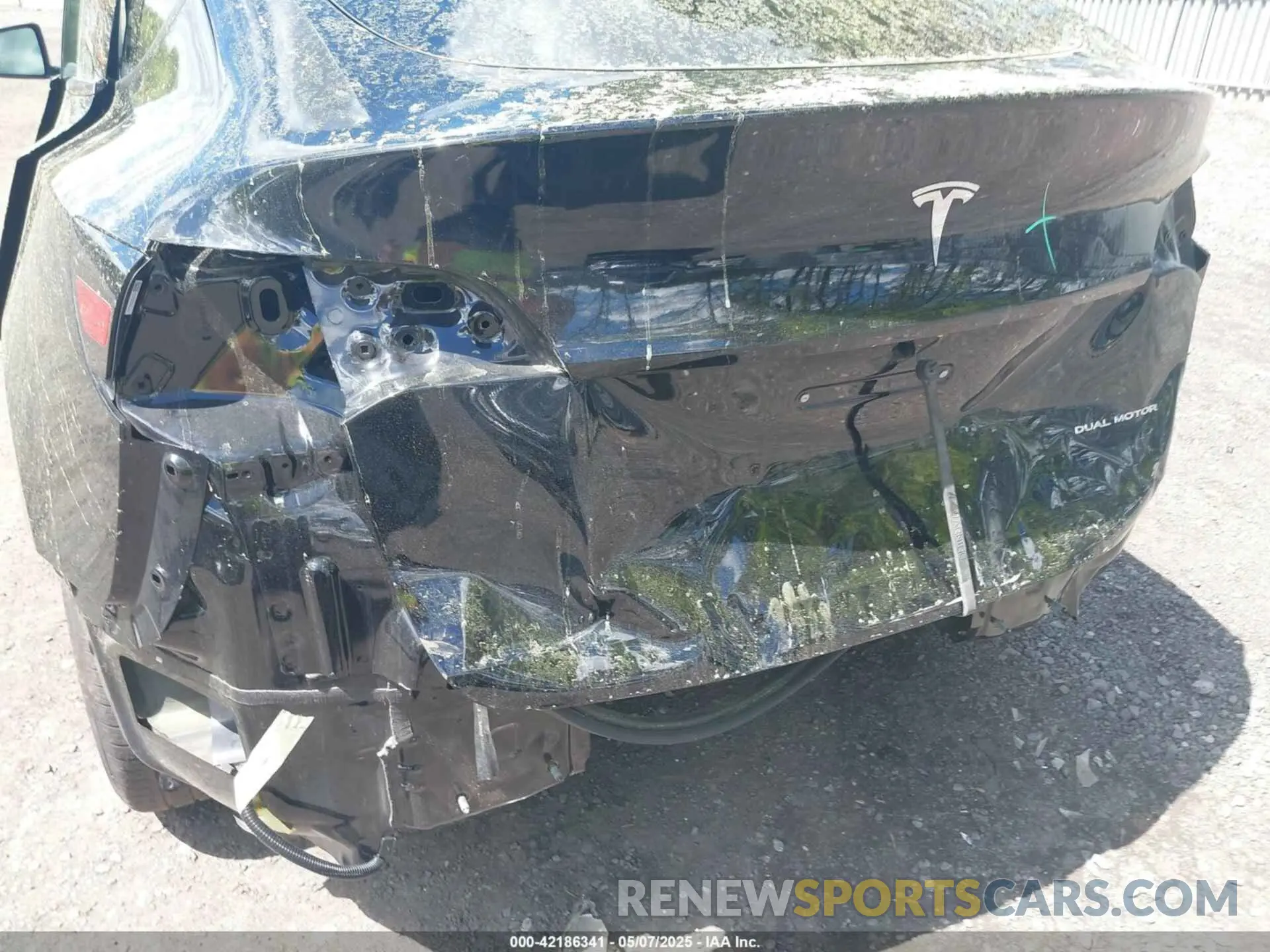 6 fotografías del automóvil dañado 7SAYGDEE0RF200291 TESLA MODEL Y 2024
