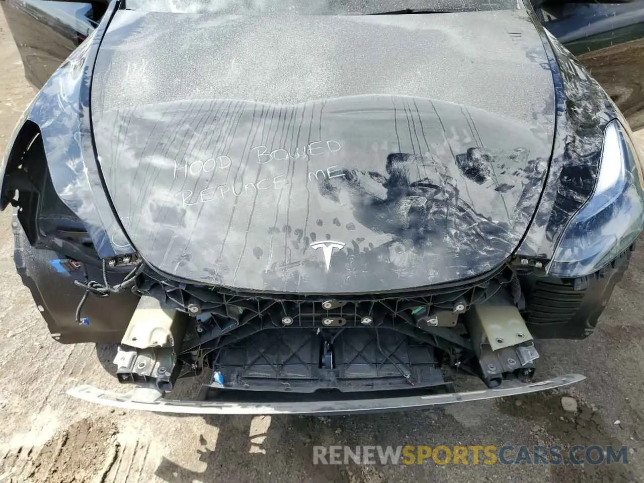 12 fotografías del automóvil dañado 7SAYGDEE0RF202381 TESLA MODEL Y 2024