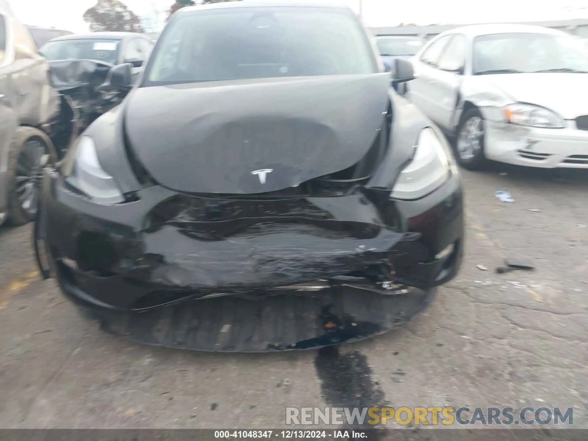 6 fotografías del automóvil dañado 7SAYGDEE1RA234673 TESLA MODEL Y 2024