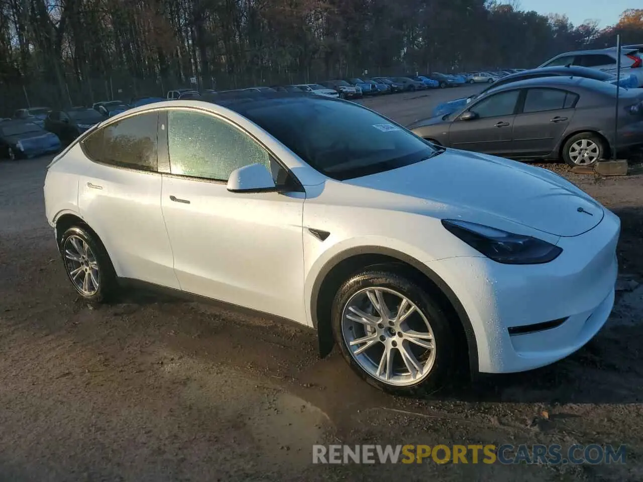 4 fotografías del automóvil dañado 7SAYGDEE1RA258441 TESLA MODEL Y 2024