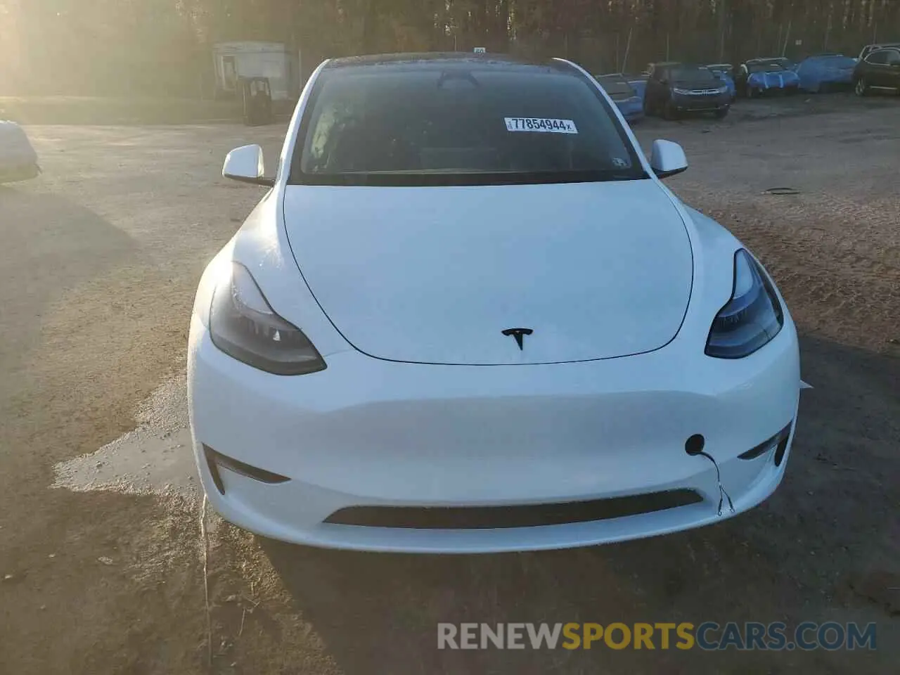 5 fotografías del automóvil dañado 7SAYGDEE1RA258441 TESLA MODEL Y 2024