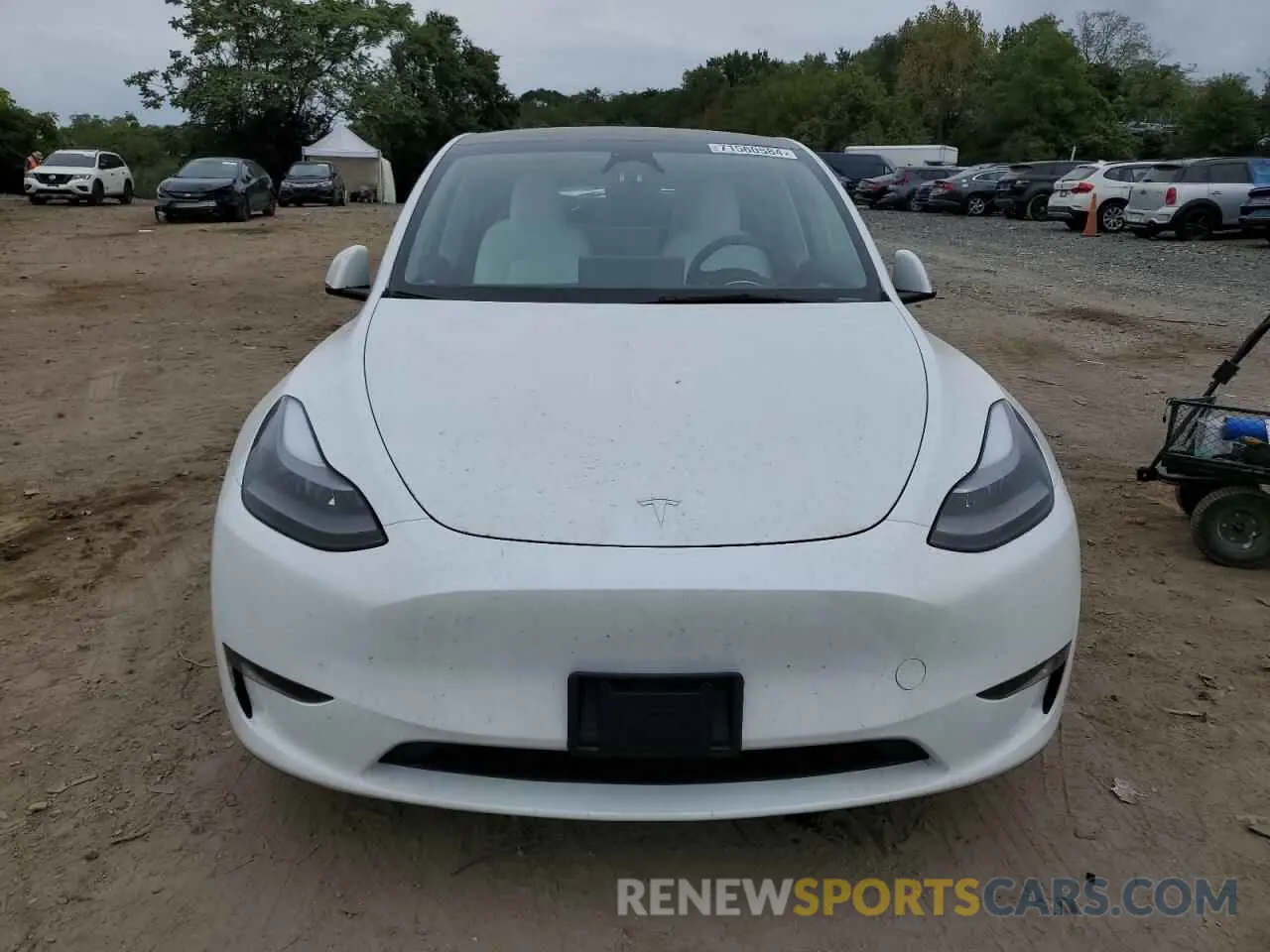 5 fotografías del automóvil dañado 7SAYGDEE1RA260755 TESLA MODEL Y 2024