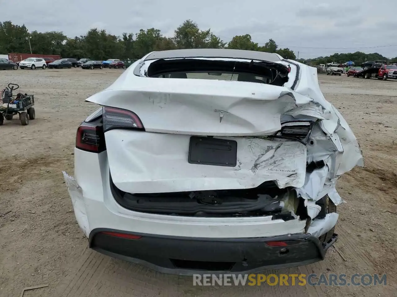 6 fotografías del automóvil dañado 7SAYGDEE1RA260755 TESLA MODEL Y 2024
