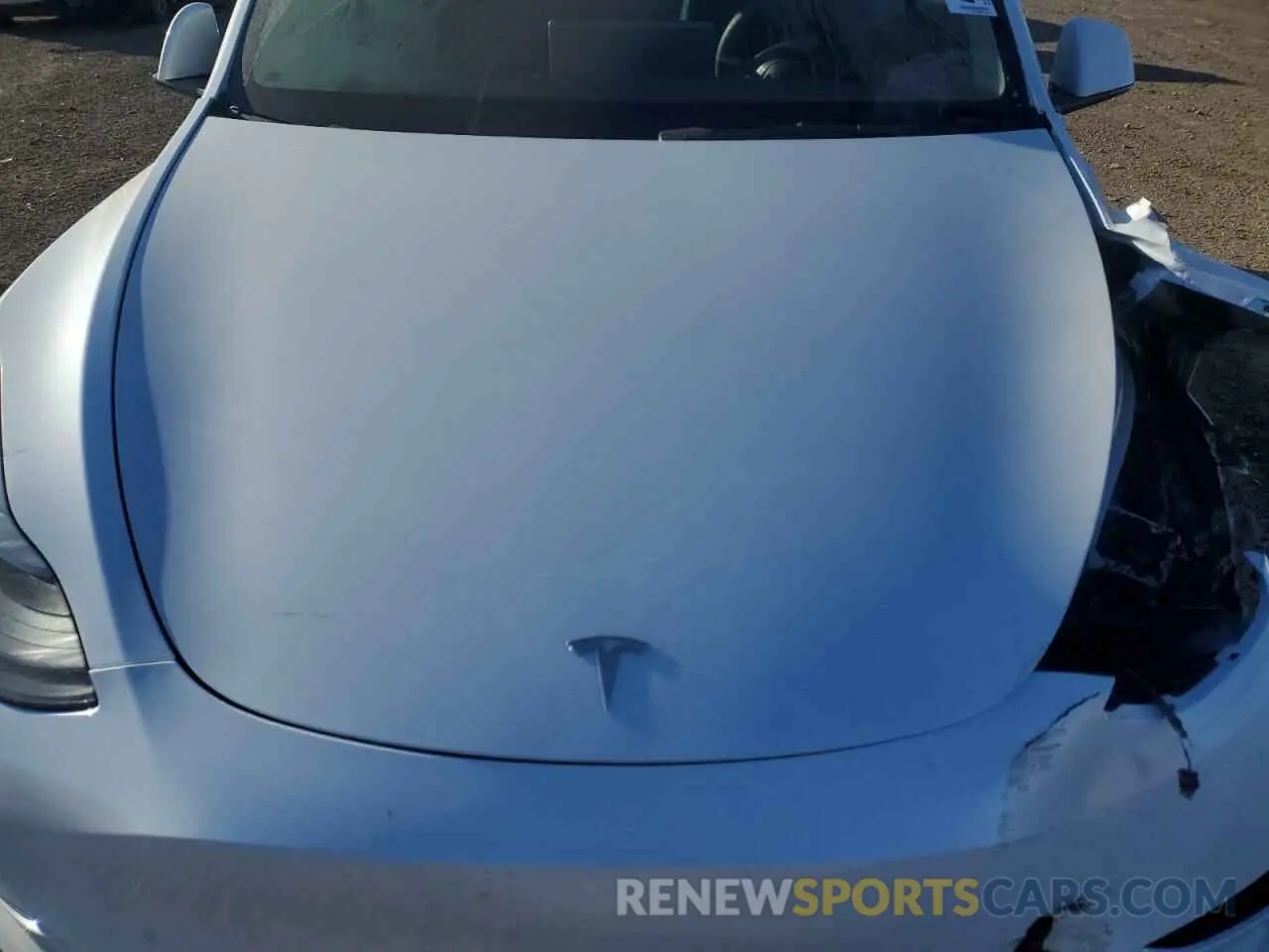 11 fotografías del automóvil dañado 7SAYGDEE1RA260769 TESLA MODEL Y 2024