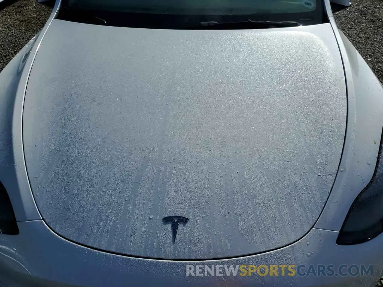 11 fotografías del automóvil dañado 7SAYGDEE1RA262814 TESLA MODEL Y 2024
