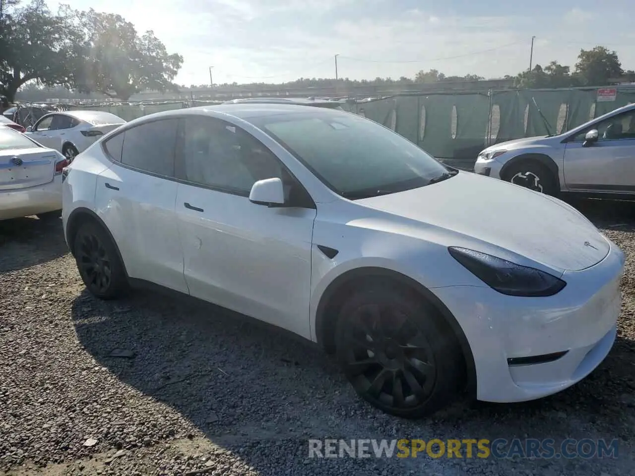 4 fotografías del automóvil dañado 7SAYGDEE1RA262814 TESLA MODEL Y 2024