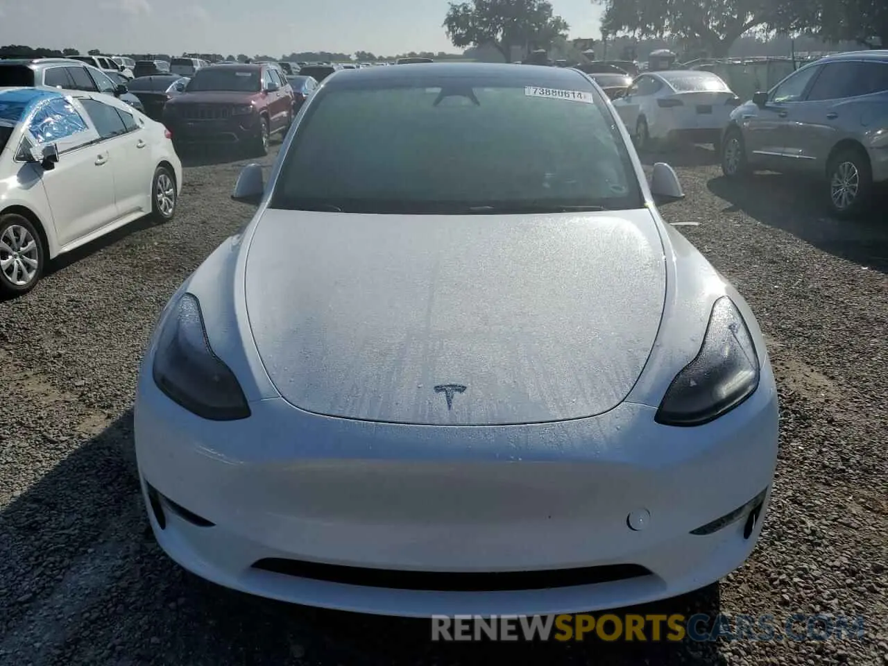 5 fotografías del automóvil dañado 7SAYGDEE1RA262814 TESLA MODEL Y 2024
