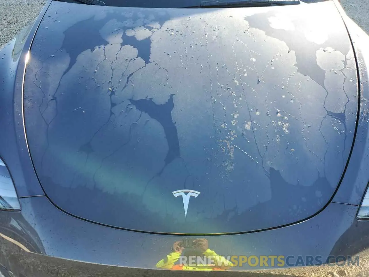 12 fotografías del automóvil dañado 7SAYGDEE1RA282917 TESLA MODEL Y 2024
