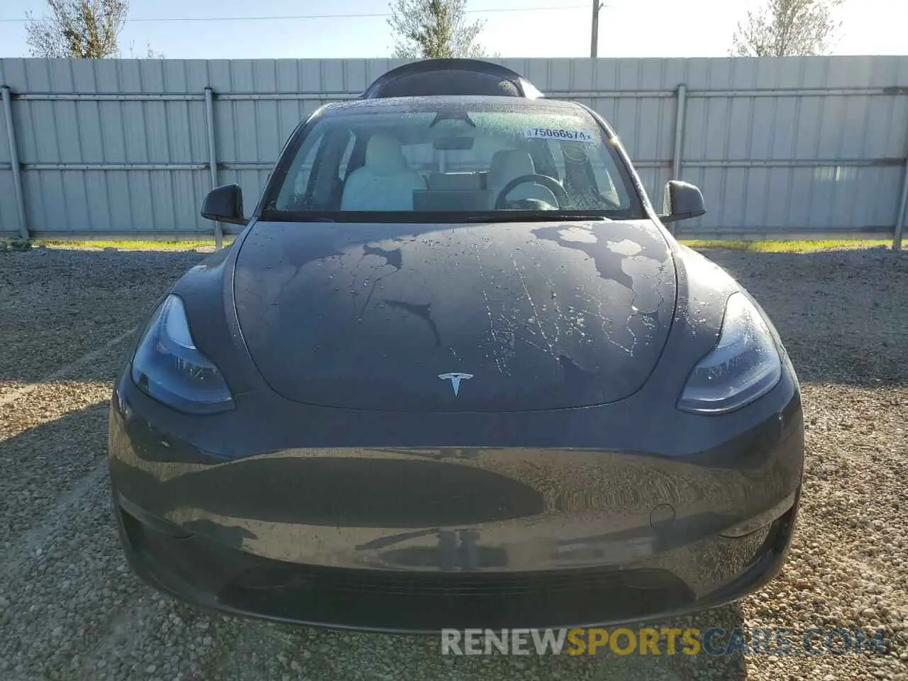 5 fotografías del automóvil dañado 7SAYGDEE1RA282917 TESLA MODEL Y 2024