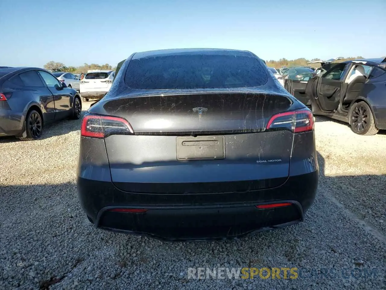 6 fotografías del automóvil dañado 7SAYGDEE1RA282917 TESLA MODEL Y 2024