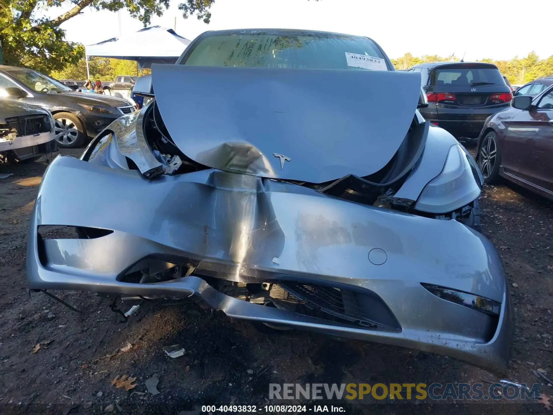 13 fotografías del automóvil dañado 7SAYGDEE1RA307833 TESLA MODEL Y 2024