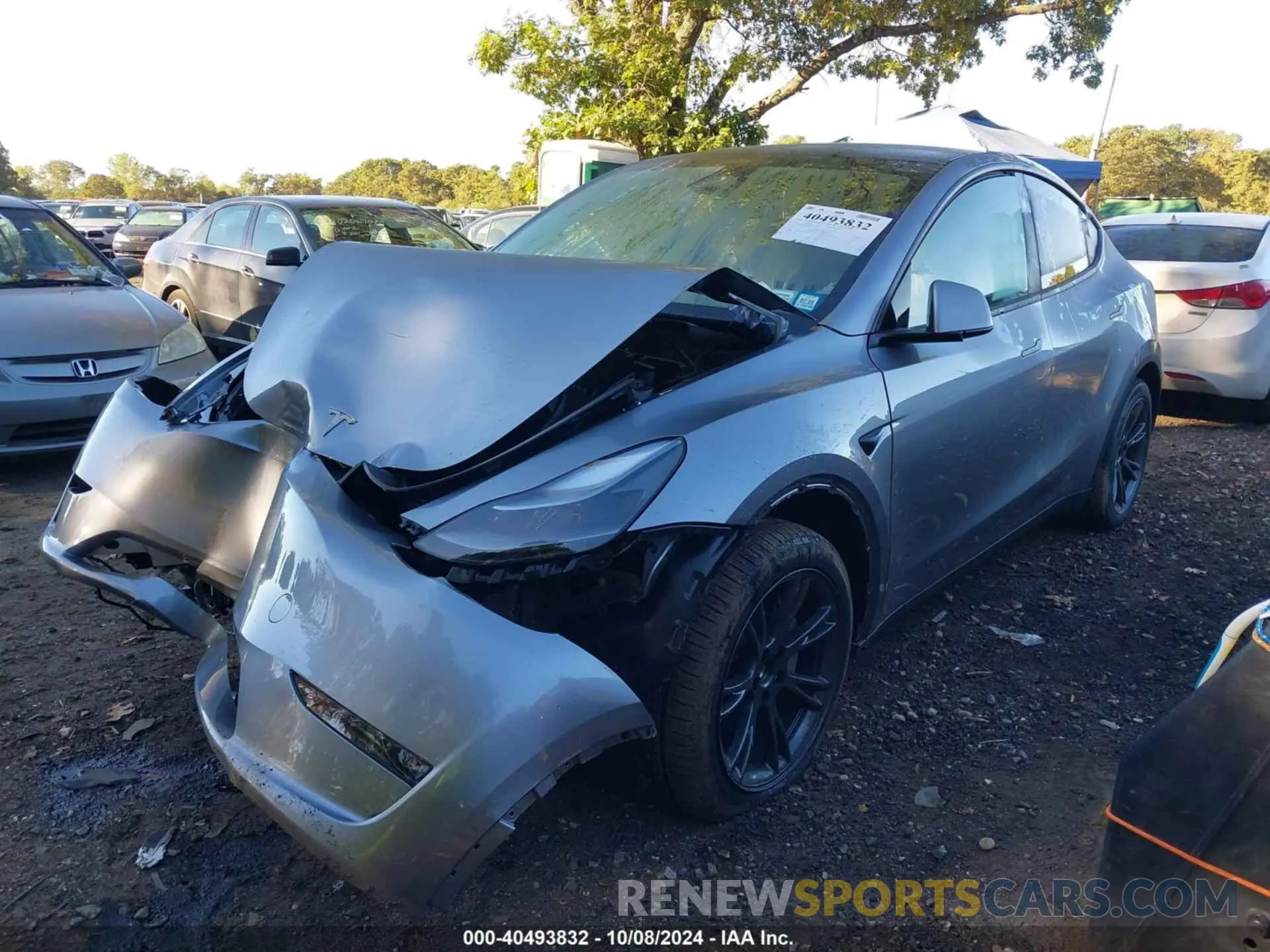 6 fotografías del automóvil dañado 7SAYGDEE1RA307833 TESLA MODEL Y 2024