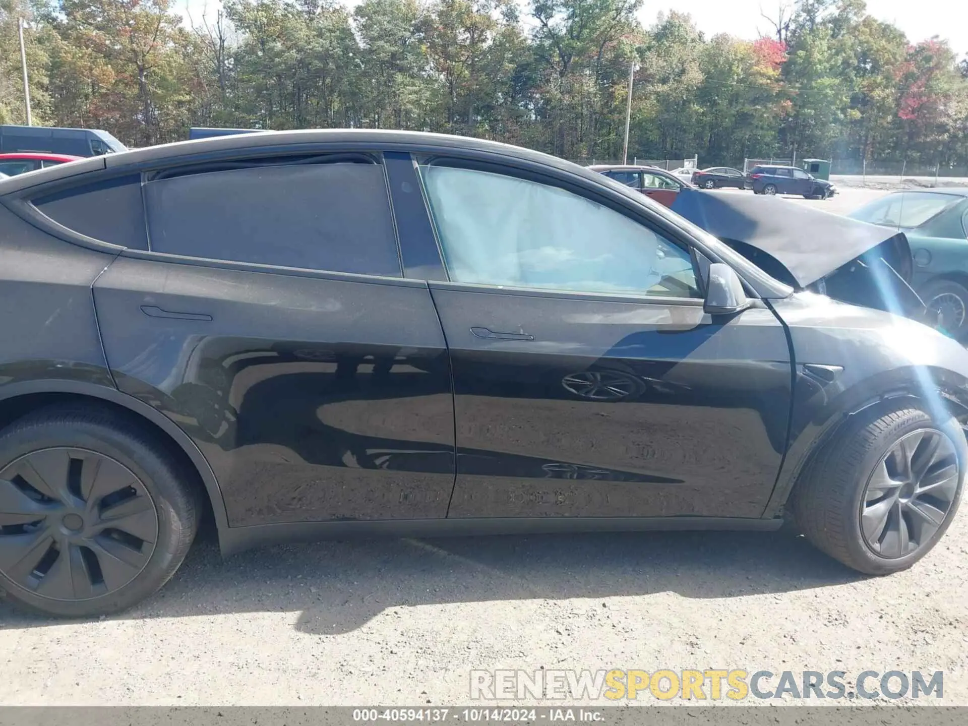 12 fotografías del automóvil dañado 7SAYGDEE1RA322705 TESLA MODEL Y 2024