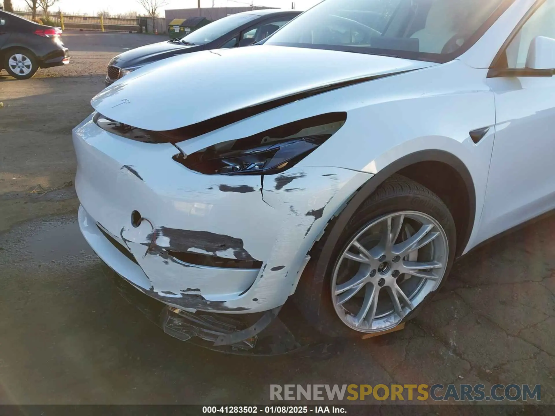 6 fotografías del automóvil dañado 7SAYGDEE1RF051860 TESLA MODEL Y 2024