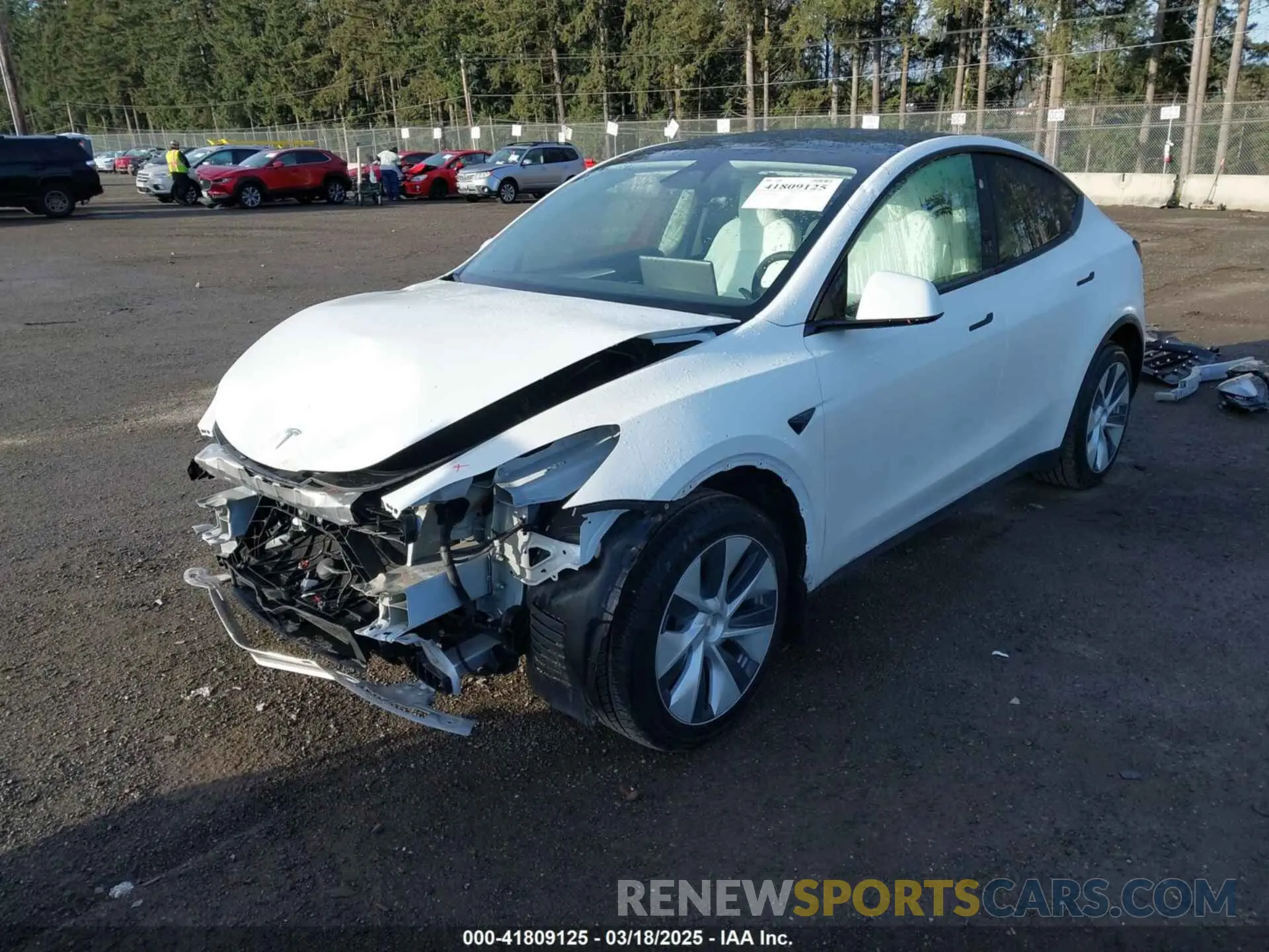 2 fotografías del automóvil dañado 7SAYGDEE1RF056816 TESLA MODEL Y 2024