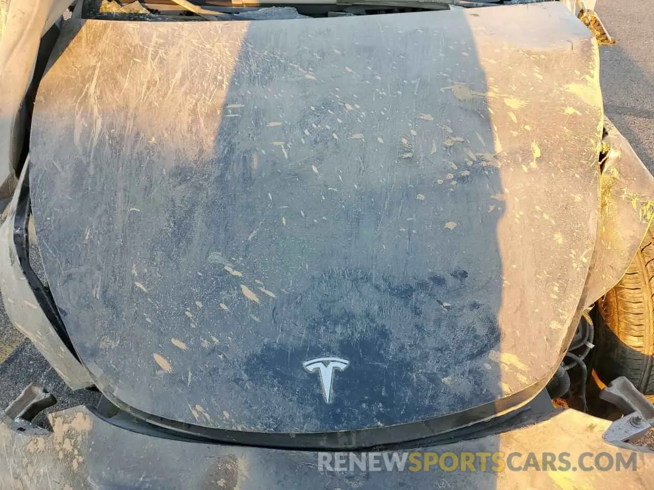 12 fotografías del automóvil dañado 7SAYGDEE1RF132762 TESLA MODEL Y 2024