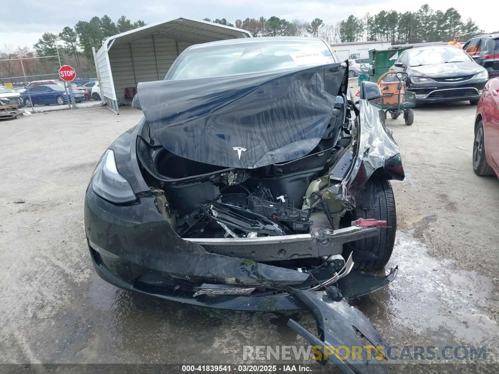 12 fotografías del automóvil dañado 7SAYGDEE2RA227425 TESLA MODEL Y 2024