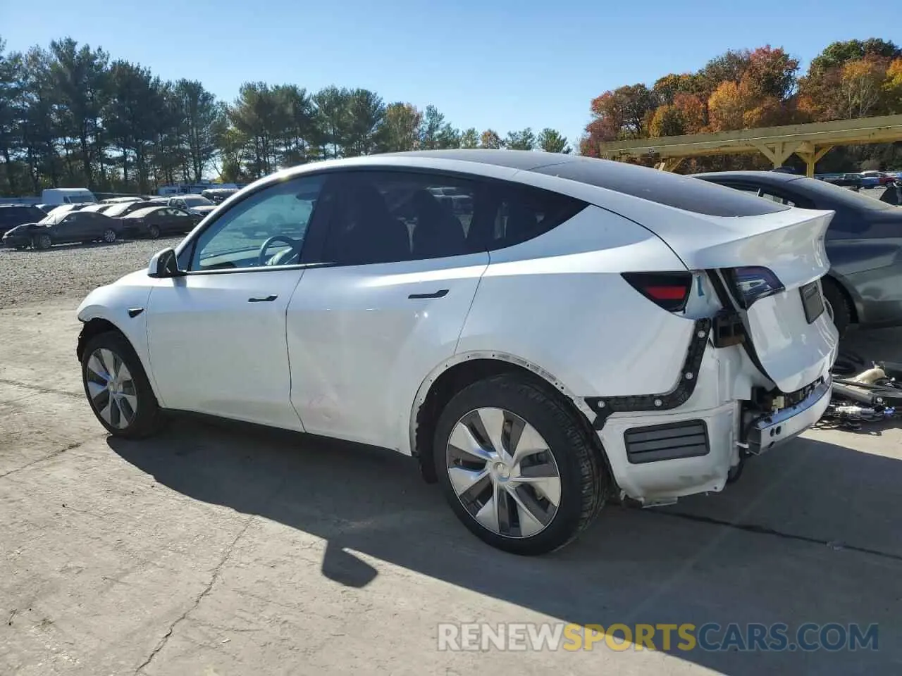 2 fotografías del automóvil dañado 7SAYGDEE2RA270940 TESLA MODEL Y 2024