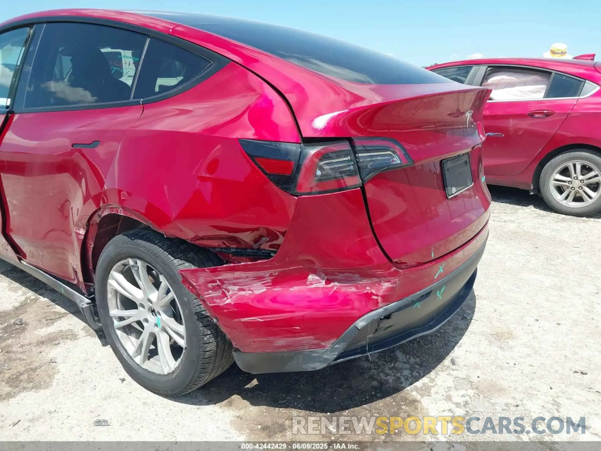 6 fotografías del automóvil dañado 7SAYGDEE2RA281209 TESLA MODEL Y 2024