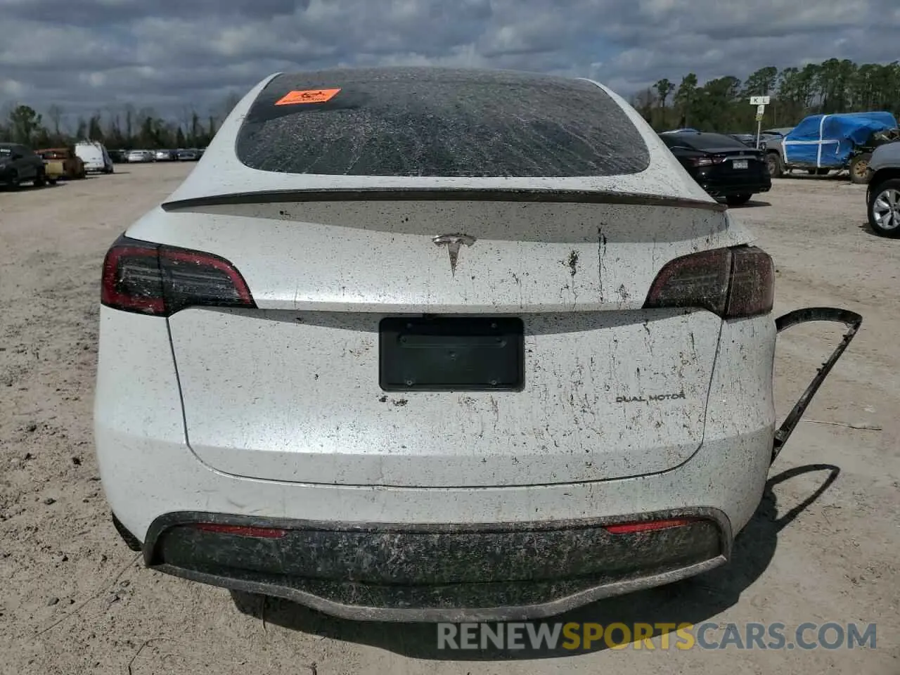 6 fotografías del automóvil dañado 7SAYGDEE2RA335818 TESLA MODEL Y 2024