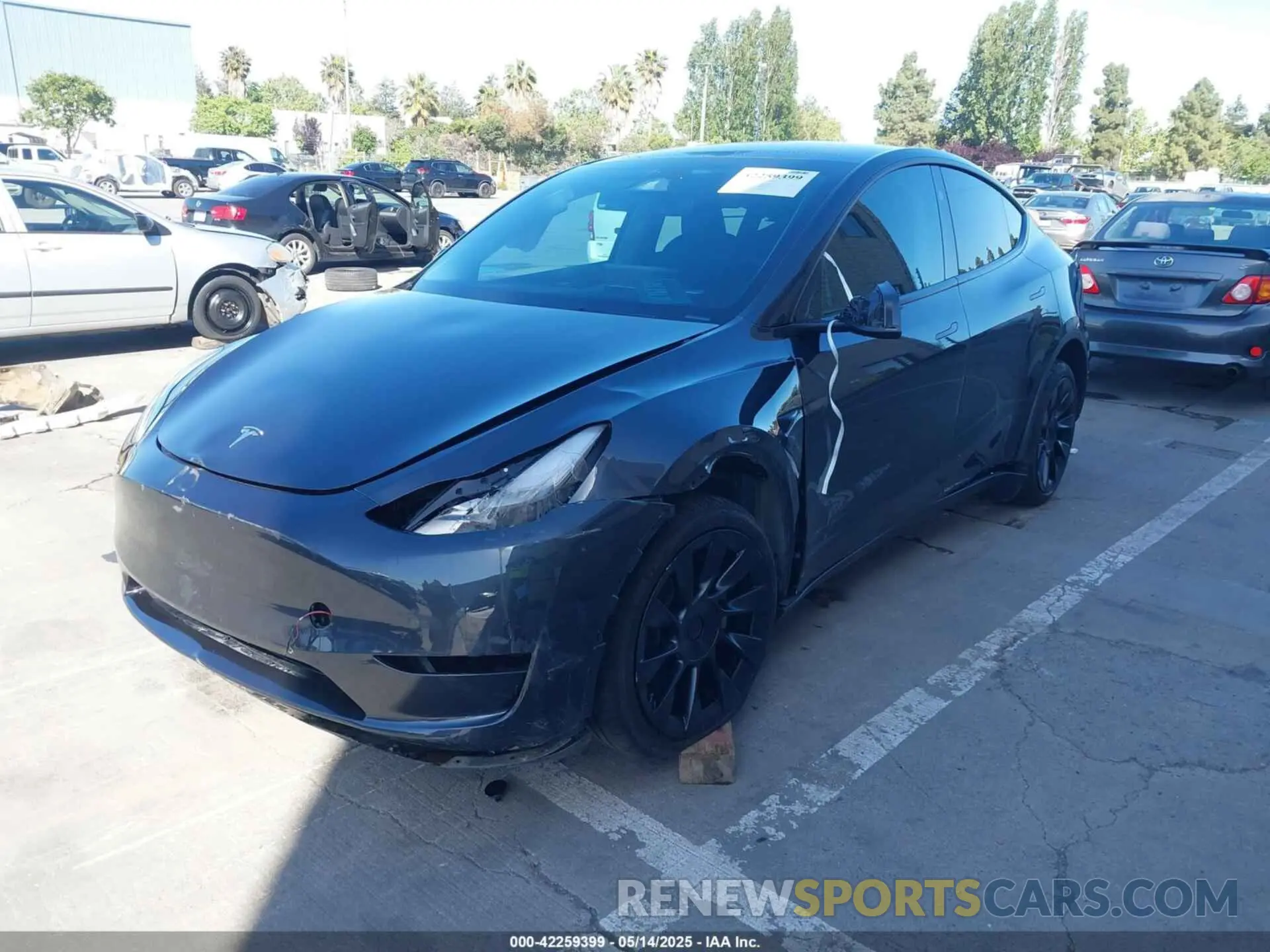 6 fotografías del automóvil dañado 7SAYGDEE2RF005762 TESLA MODEL Y 2024